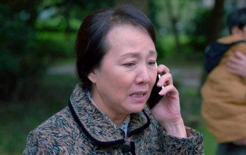 国产在线人母,揭秘中国家庭教育的独特魅力