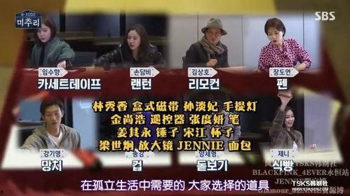 国产推理性综艺节目在线观看,在线观看的智慧盛宴